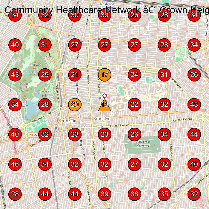 Community Healthcare Network â€“ Crown Heights GeoGrid visibility map for Home Health Care Service in Brooklyn